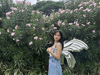 Balões de folha de asa